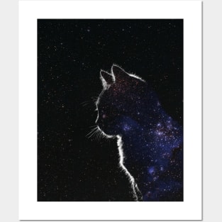 Star Covered Cat Posters and Art